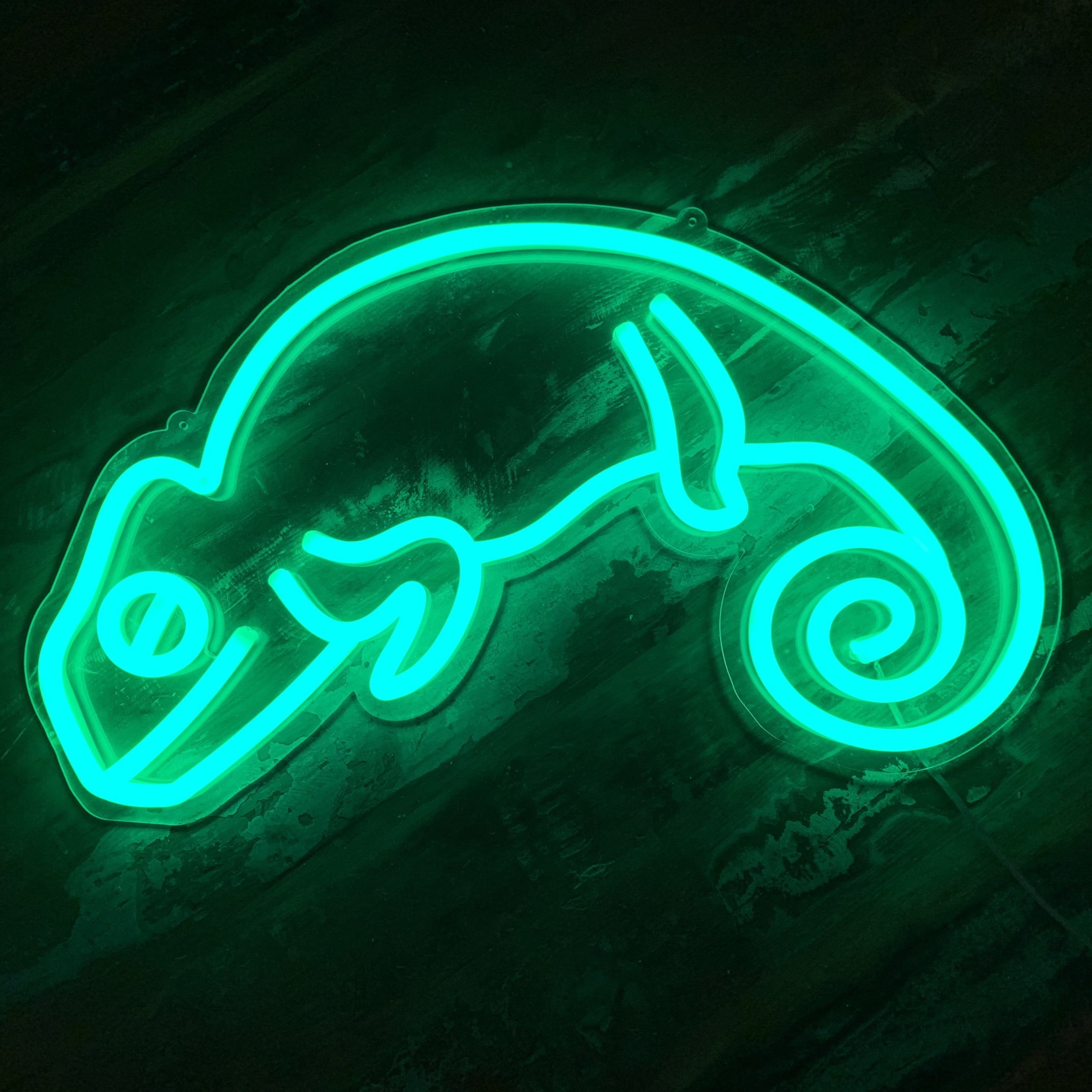 Chameleon LED Neon Sign vista 1